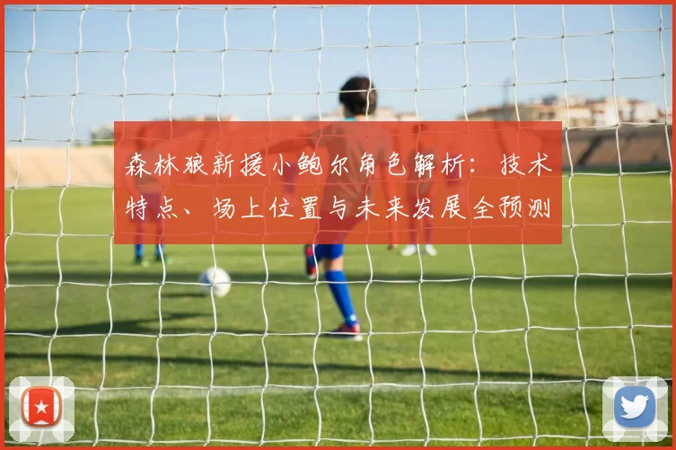 森林狼新援小鲍尔角色解析:技术特点、场上位置与未来发展全预测