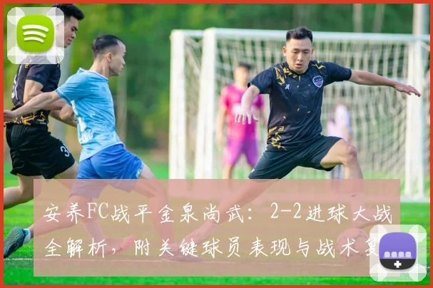 安养FC战平金泉尚武：2-2进球大战全解析，附关键球员表现与战术复盘