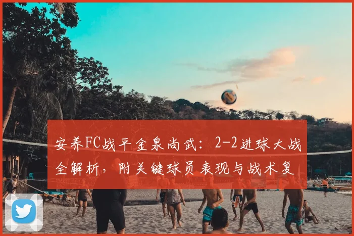 安养FC战平金泉尚武：2-2进球大战全解析，附关键球员表现与战术复盘
