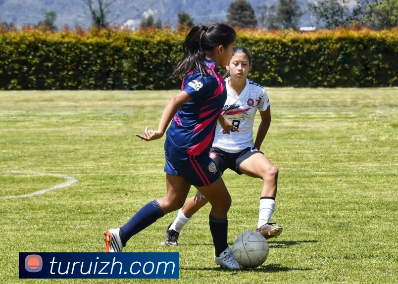 赛事专题整合